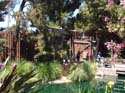 Frontierland-DL-02