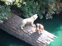 Frontierland-DL-33