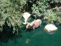 Frontierland-DL-37