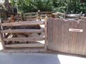 Frontierland-DL-61