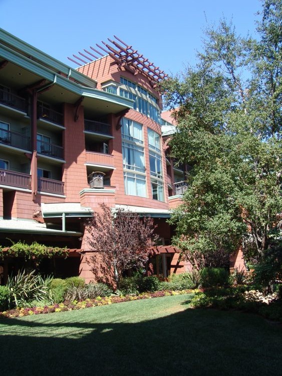 DSC06441