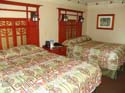 DSC03592