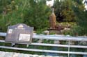 Redwood Creek Challenge Trail 1a