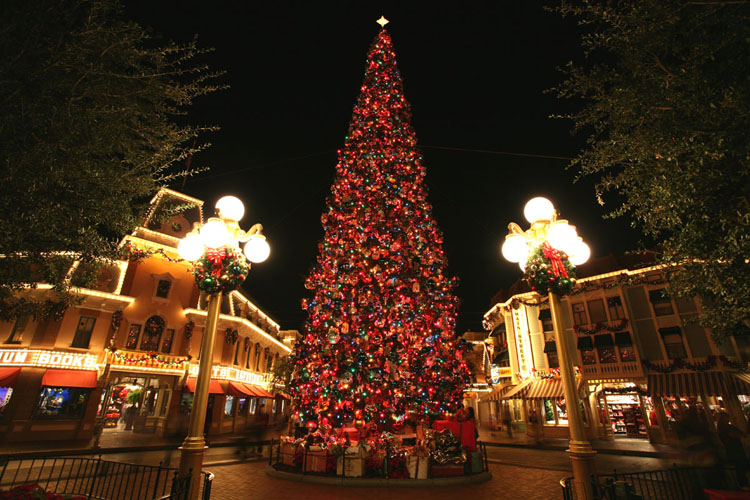 Disneyland  Christmas 2006 186Copy