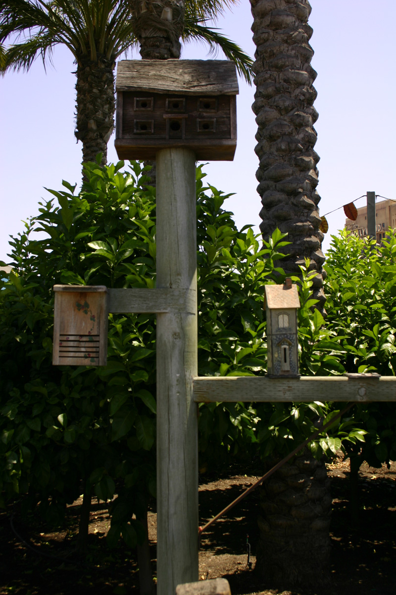 Bountiful Valley Farm_042