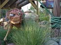 Bountiful Valley Farm_011