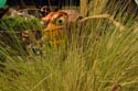 Bountiful Valley Farm_011a