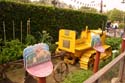 Bountiful Valley Farm_020