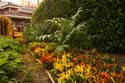 Bountiful Valley Farm_022