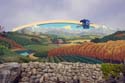 Bountiful Valley Farm_030