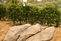 Bountiful Valley Farm_033