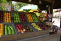 Bountiful Valley Farm_037