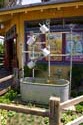 Bountiful Valley Farm_039