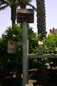 Bountiful Valley Farm_042