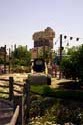 Bountiful Valley Farm_043