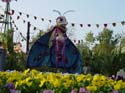 Bountiful Valley Farm_08a
