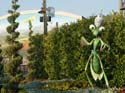 Bountiful Valley Farm_09