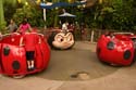 Francis-Ladybug-Boogie_06