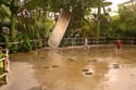 Princess Dot Puddle Park_02
