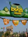 a bugs land_02