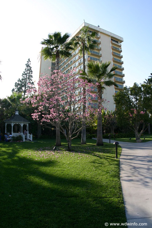 dlandhotel--032a