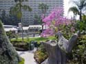 dlandhotel--011