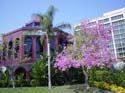 dlandhotel--013