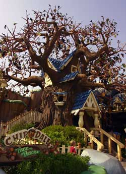 Chip 'n Dale's Treehouse