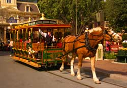 Horse-Drawn Streetcars