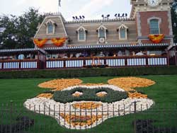 Halloween at the Disneyland Resort