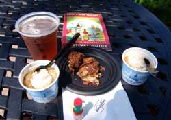 Disney World Summer Touring Tips and Strategies