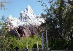 Animal Kingdom Pictures