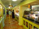Dolphin_dining_Picabu_01a
