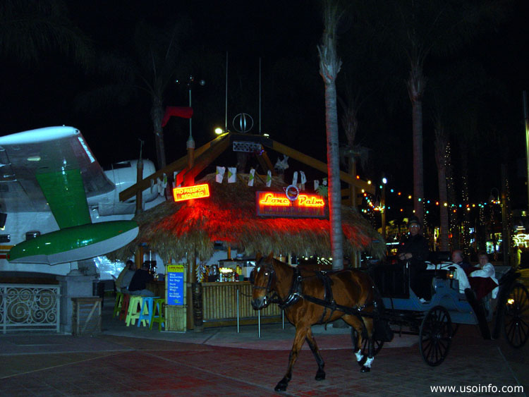 DSC02007