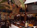 DSC00662c