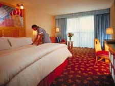 dolphin resort room
