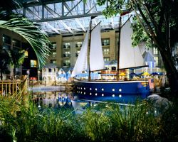 Gaylord Palms resort orlando