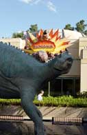 Disney�s Animal Kingdom is 500 acres of exotic landscapes with 600 species of trees, 350 species of grasses and 1800 different shrubs, ferns, mosses vines and perennials.  More than 4 million plants, trees, grasses and shrubs were planted to create the jungle-like atmosphere in central Florida.
