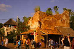 Animal Kingdom