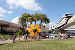 Flower & Garden Festival 