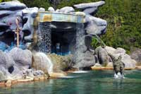 Ariel's Grotto 