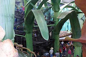 Honey I Shrunk the Kids Movie Set Adventure