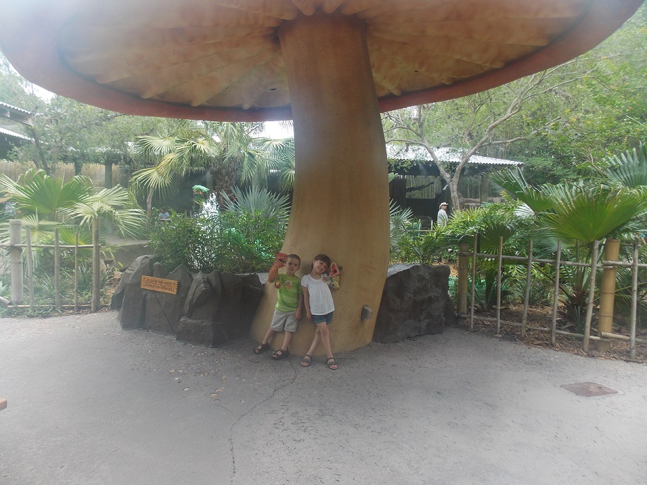 Lizards