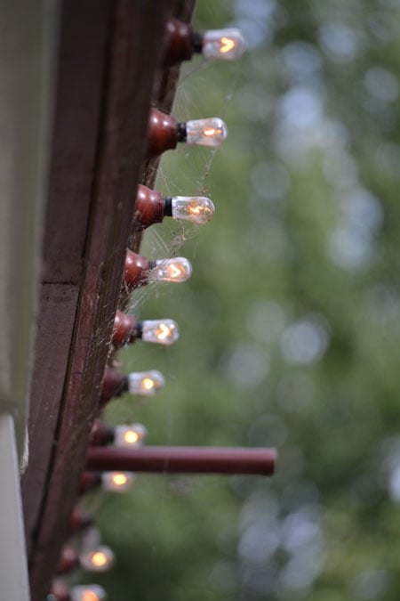 cobwebs2