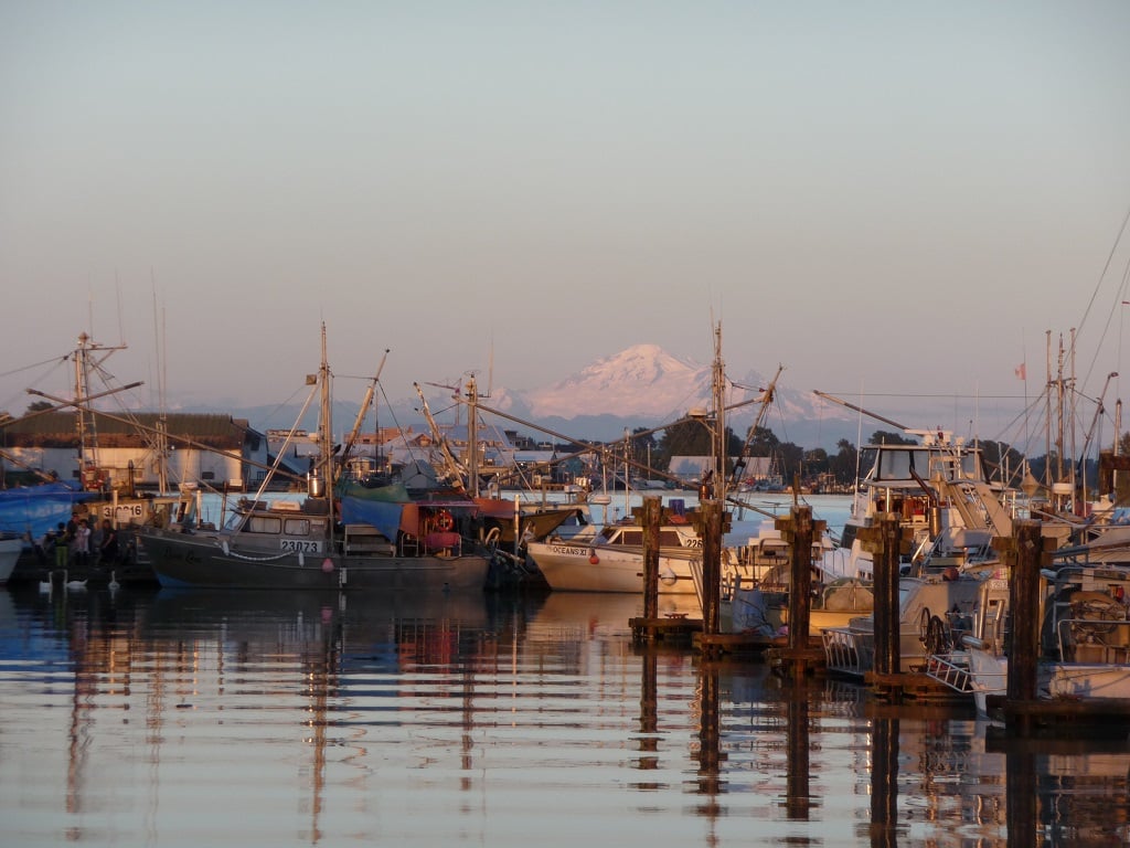 boats and baker