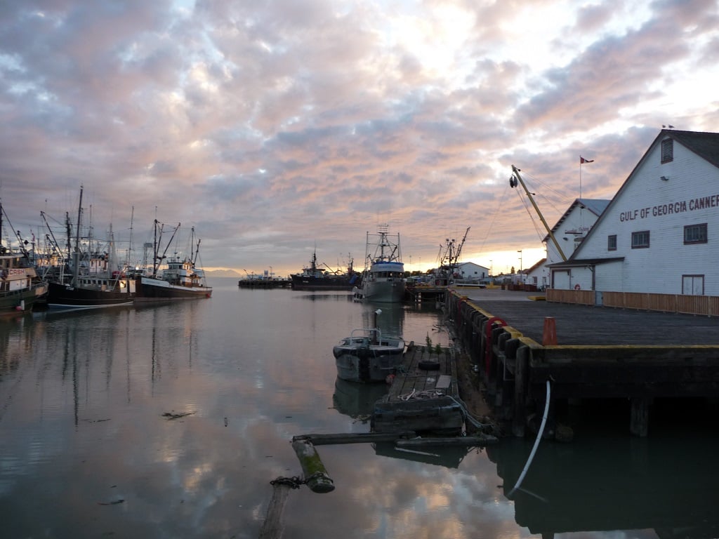 cannery