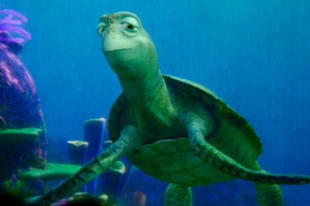 Turtle Talk With Crush At Epcot