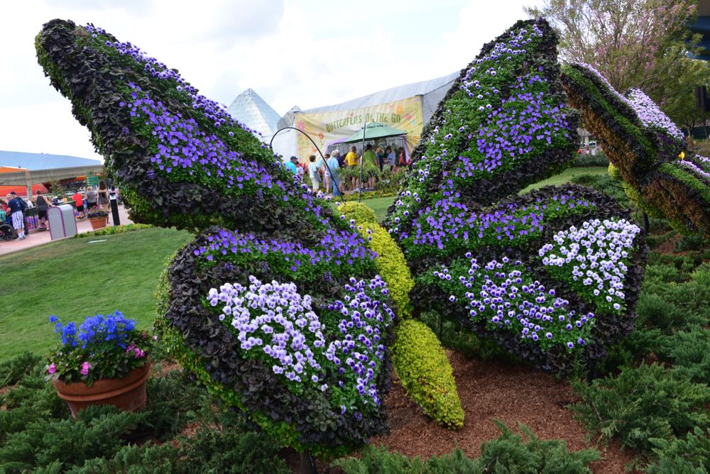 flower-garden-festival-2016-143