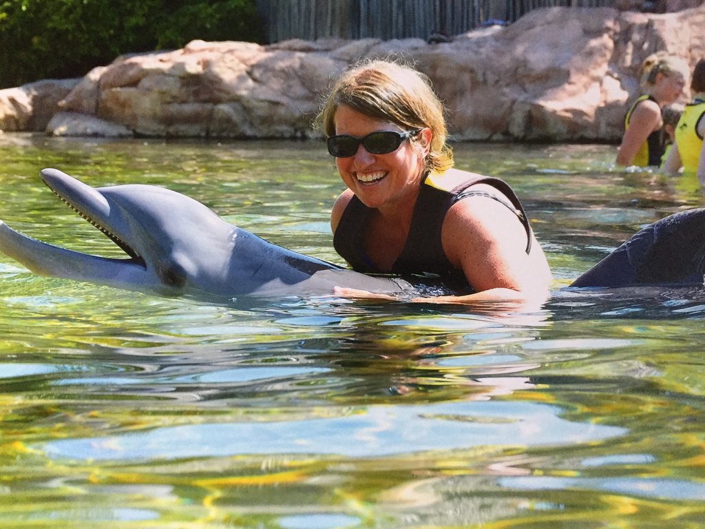 rsz_fullsizerender_7 – WDWINFO.COM Is a day at Discovery Cove worth the money? rsz_fullsizerender_7 rsz_fullsizerender_7