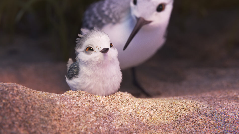 "PIPER" — In Pixar Animation Studios' new short, "Piper," a hungry sandpiper hatchling discovers that finding food without mom’s help isn’t so easy. Directed by Alan Barillaro (supervising animator "WALL•E," "Brave"), the short debuts in theaters on June 17, 2016, in front of "Finding Dory.” ©2016 Disney•Pixar. All Rights Reserved.